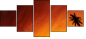 20708520