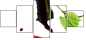 22748445