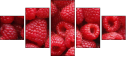 22816665