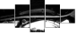 23943904