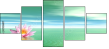 29216817