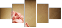 29543249