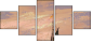 31859268