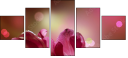 32312026