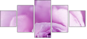 33326432