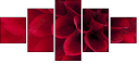 33891278