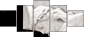 35037563