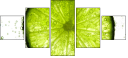 36604434
