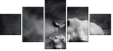 40411231