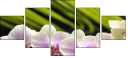 42014292