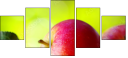 45125222