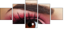 45479444