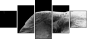 46583459