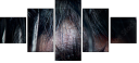 48588820