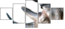 49240267