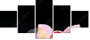 49497530