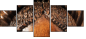 52004103