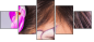 52845719