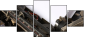 5370136