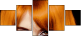 53895937