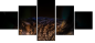 54170088