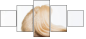 56309569