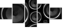 56799314