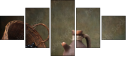 57583007