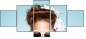 58845026