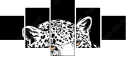 60173514