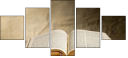 62217650