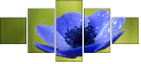 6756687