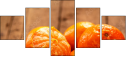 76269505