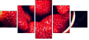 76277931