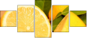 78139394