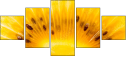 78671231