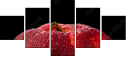 78900295