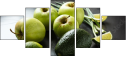 79260303