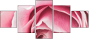 95247840