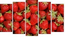 Pentaptych - Five-piece canvas
