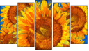 Pentaptych - Five-piece canvas