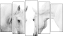 Pentaptych - Five-piece canvas