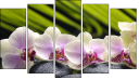 Pentaptych - Five-piece canvas