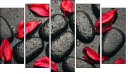 Pentaptych - Five-piece canvas