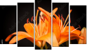 Pentaptych - Five-piece canvas