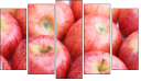 Pentaptych - Five-piece canvas