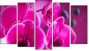 Pentaptych - Five-piece canvas