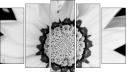 Pentaptych - Five-piece canvas