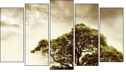desert - Five-piece canvas, Pentaptych