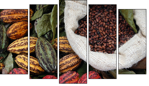 Cocoa - Five-piece canvas, Pentaptych